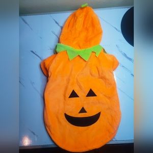 Medium Dog Pumpkin Costume